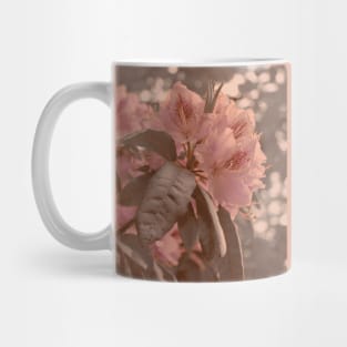 Cherry Blossom Aesthetic Photograph Design Mug